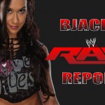 RawReport33